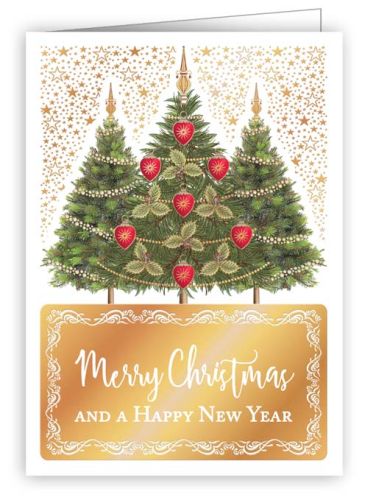 Merry Christmas and a Happy New Year