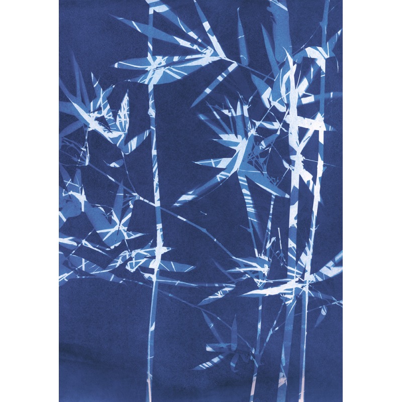 island shadows BAMBOO